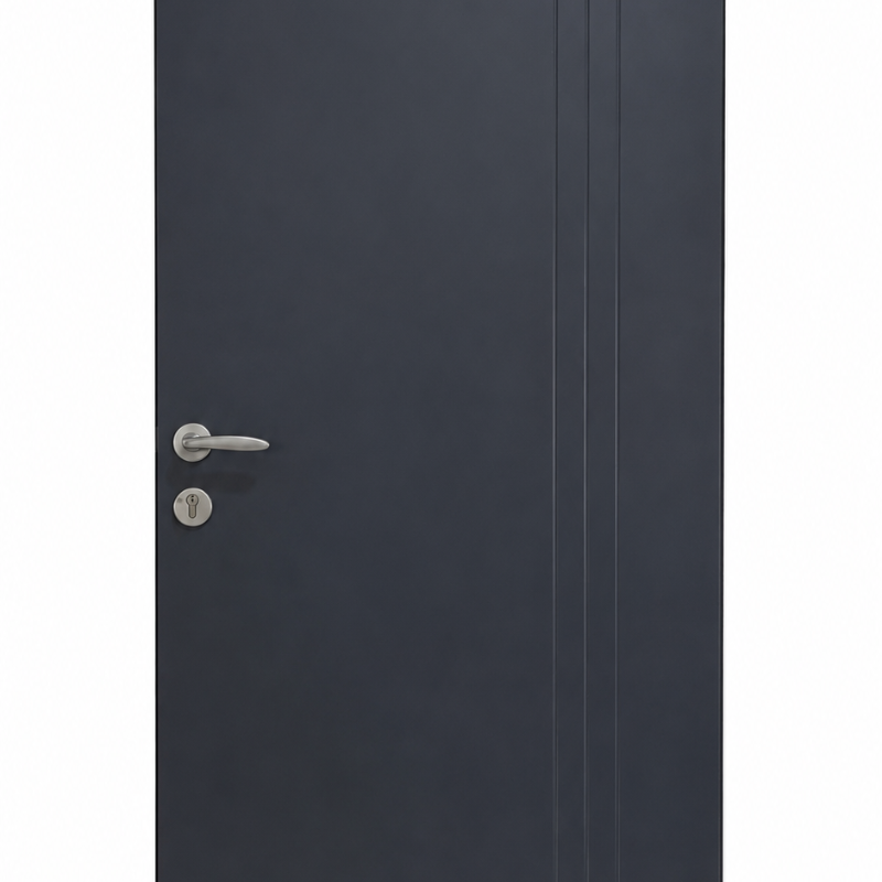 Modern Matte Black Interior Door