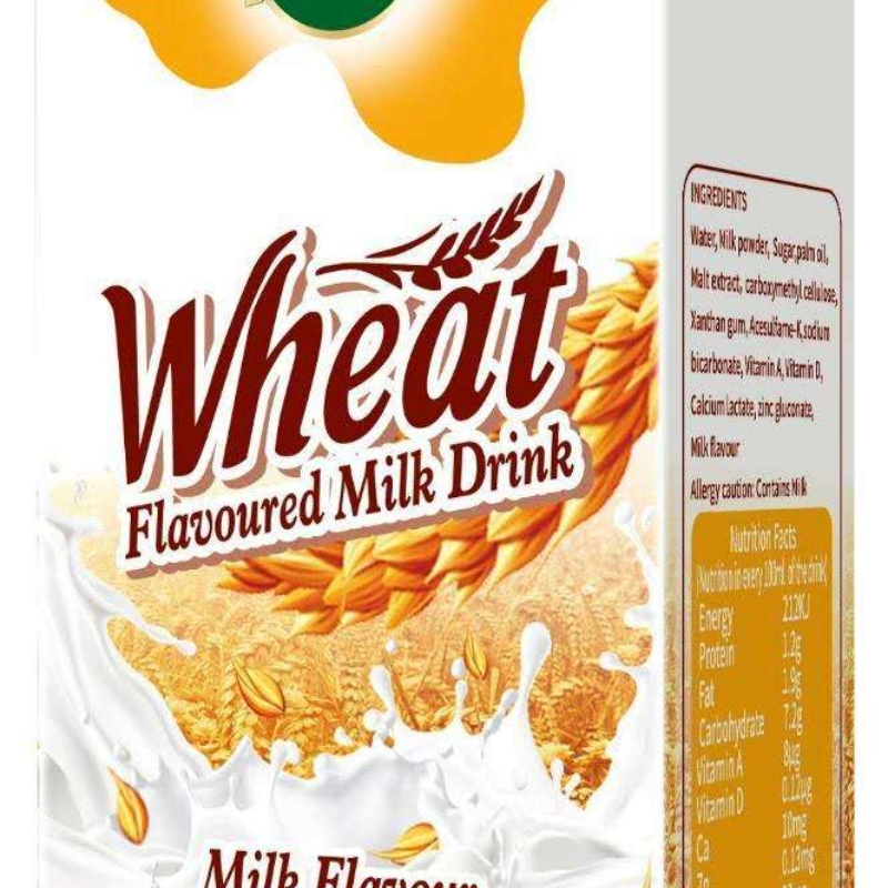 Wheat Flavoured Milk Drink