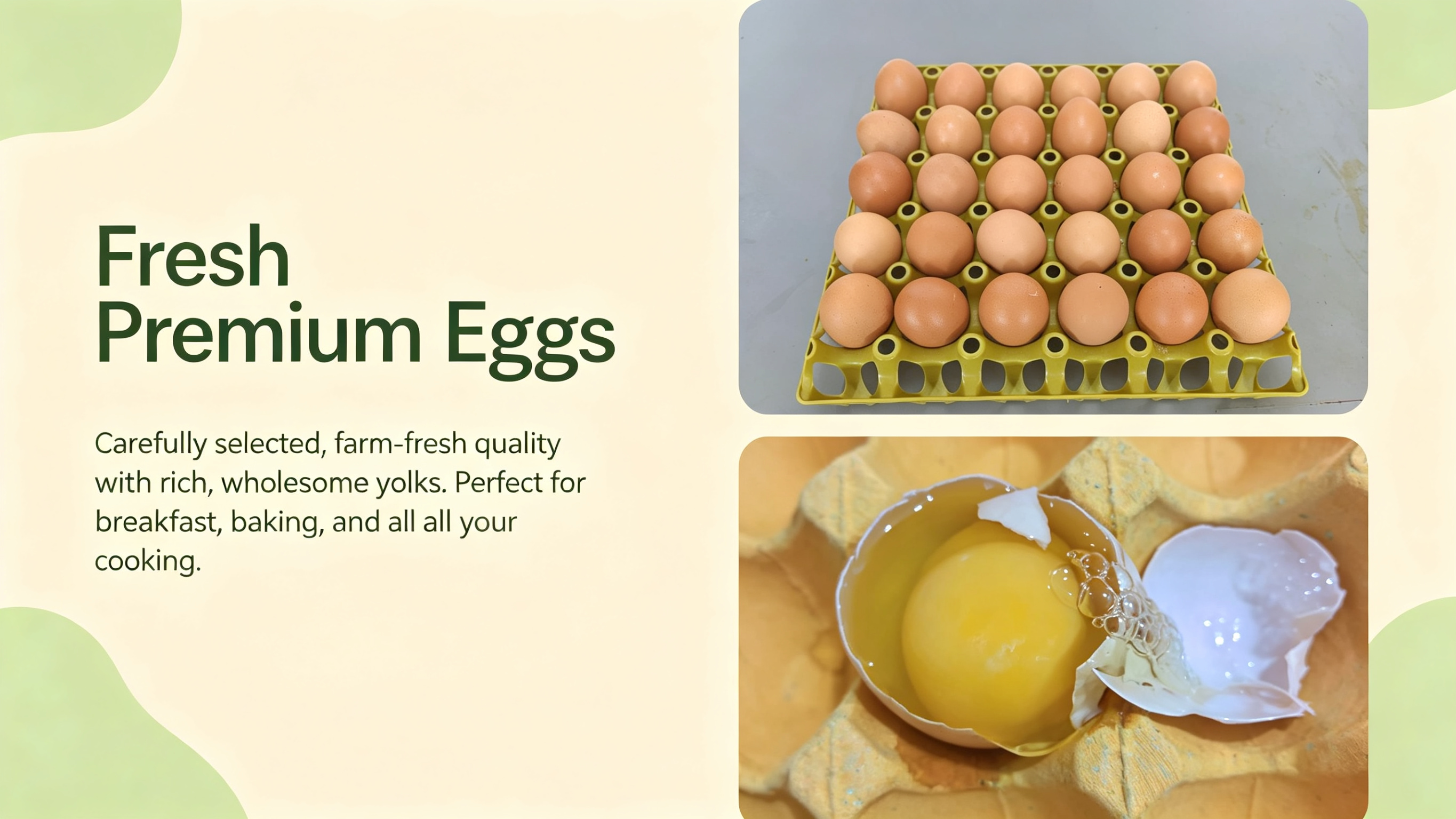 Fresh Premium Eggs